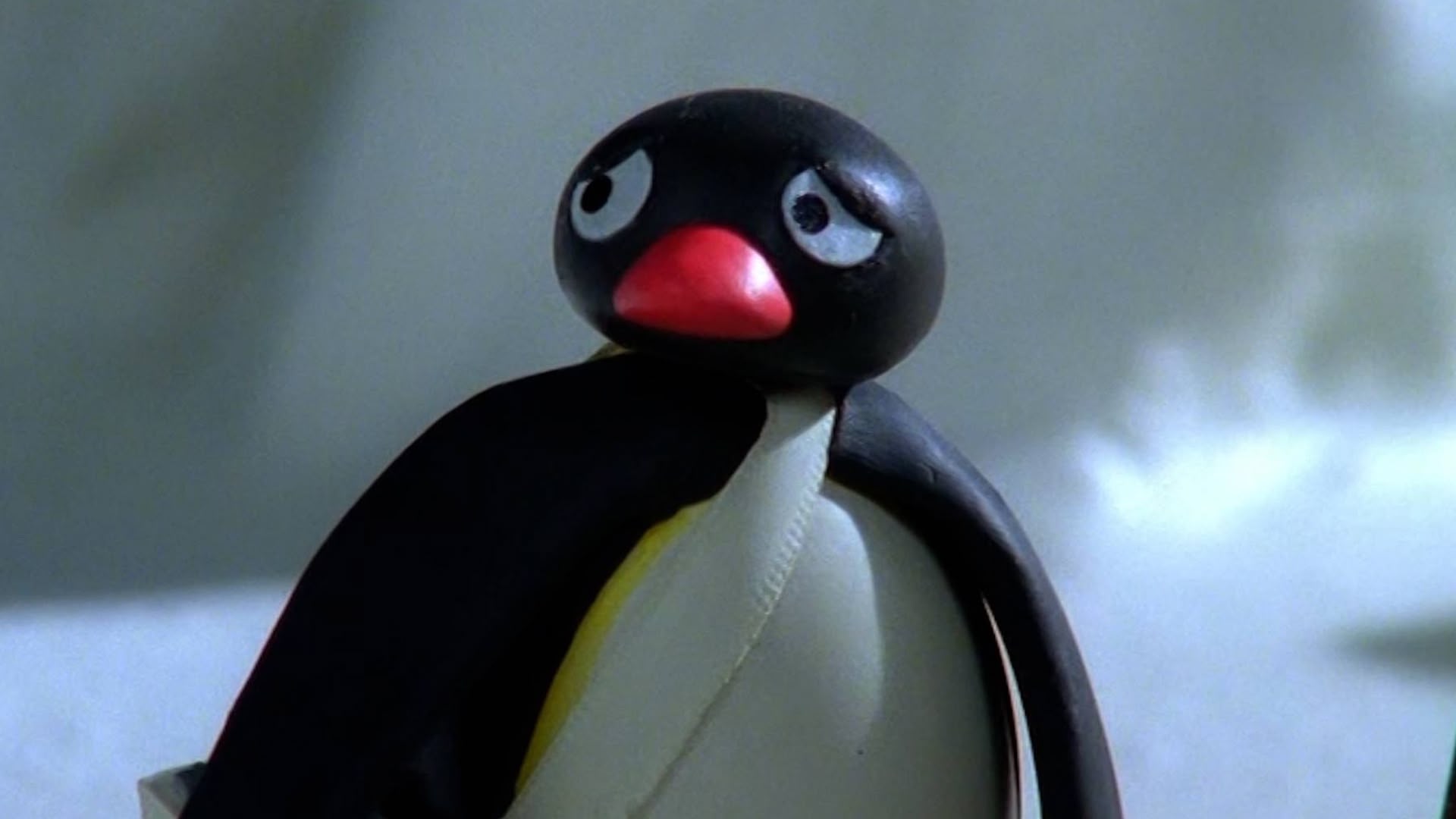 The Pingu Show artwork