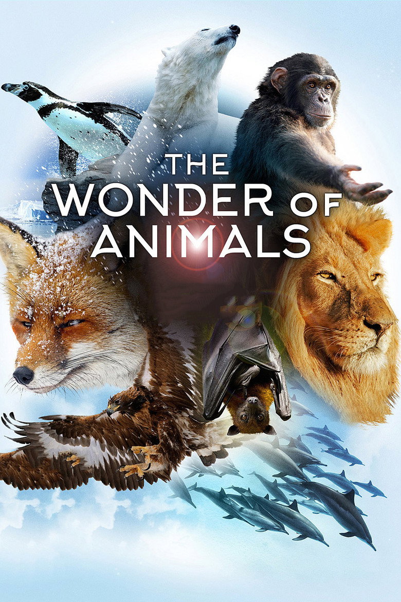 The Wonder of Animals artwork