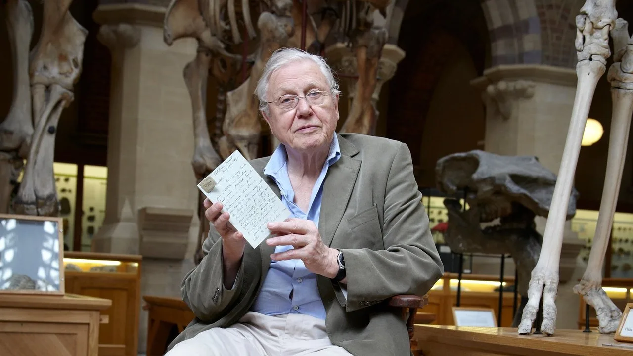 Attenborough's Natural Curiosities artwork