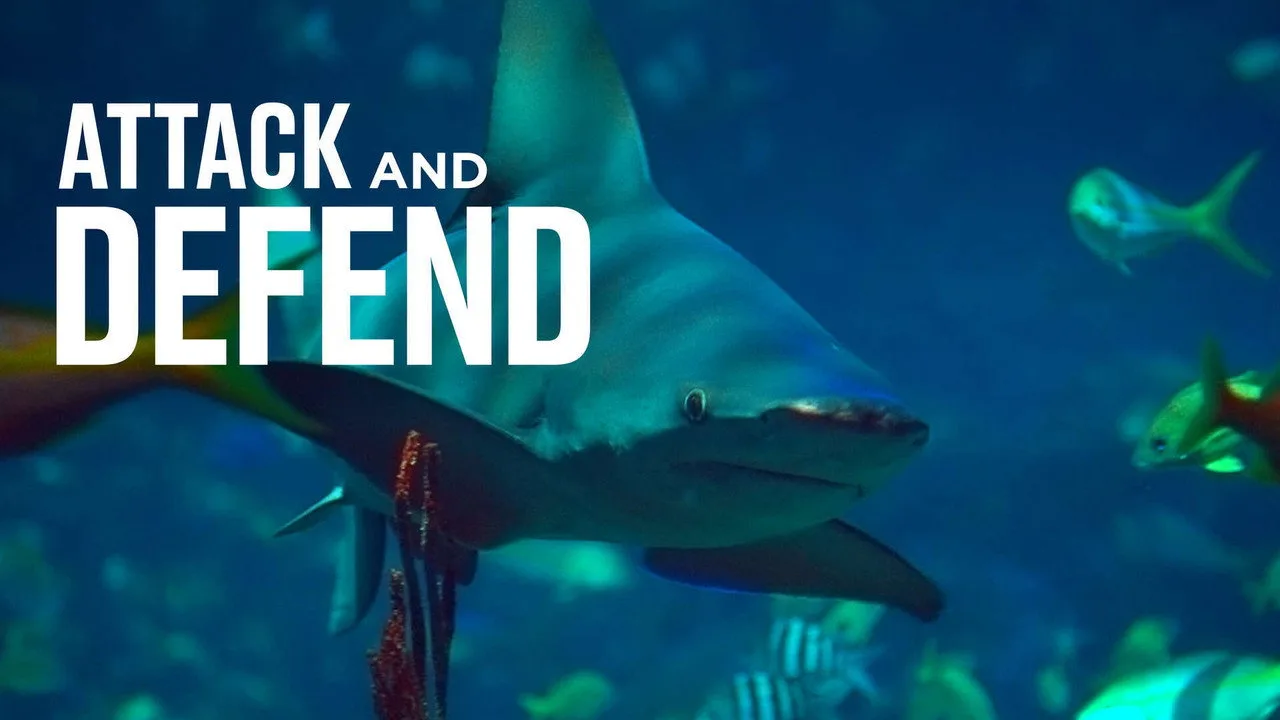 Attack and Defend artwork