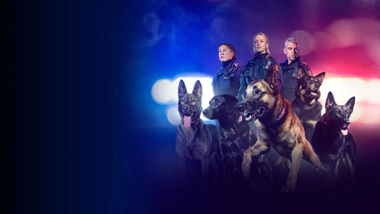 Dog Patrol artwork