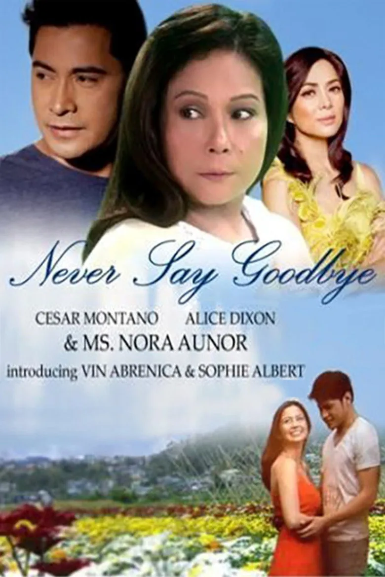 Never Say Goodbye artwork