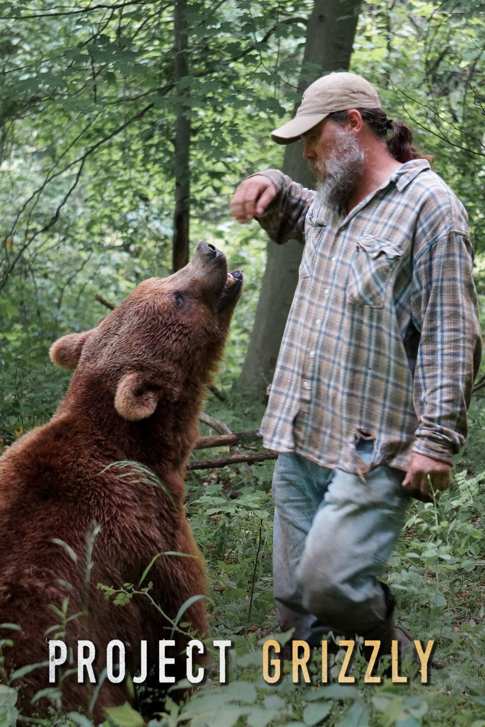 Project Grizzly artwork