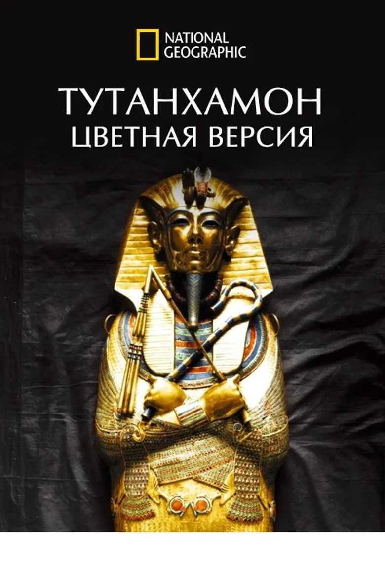King Tut In Colour artwork