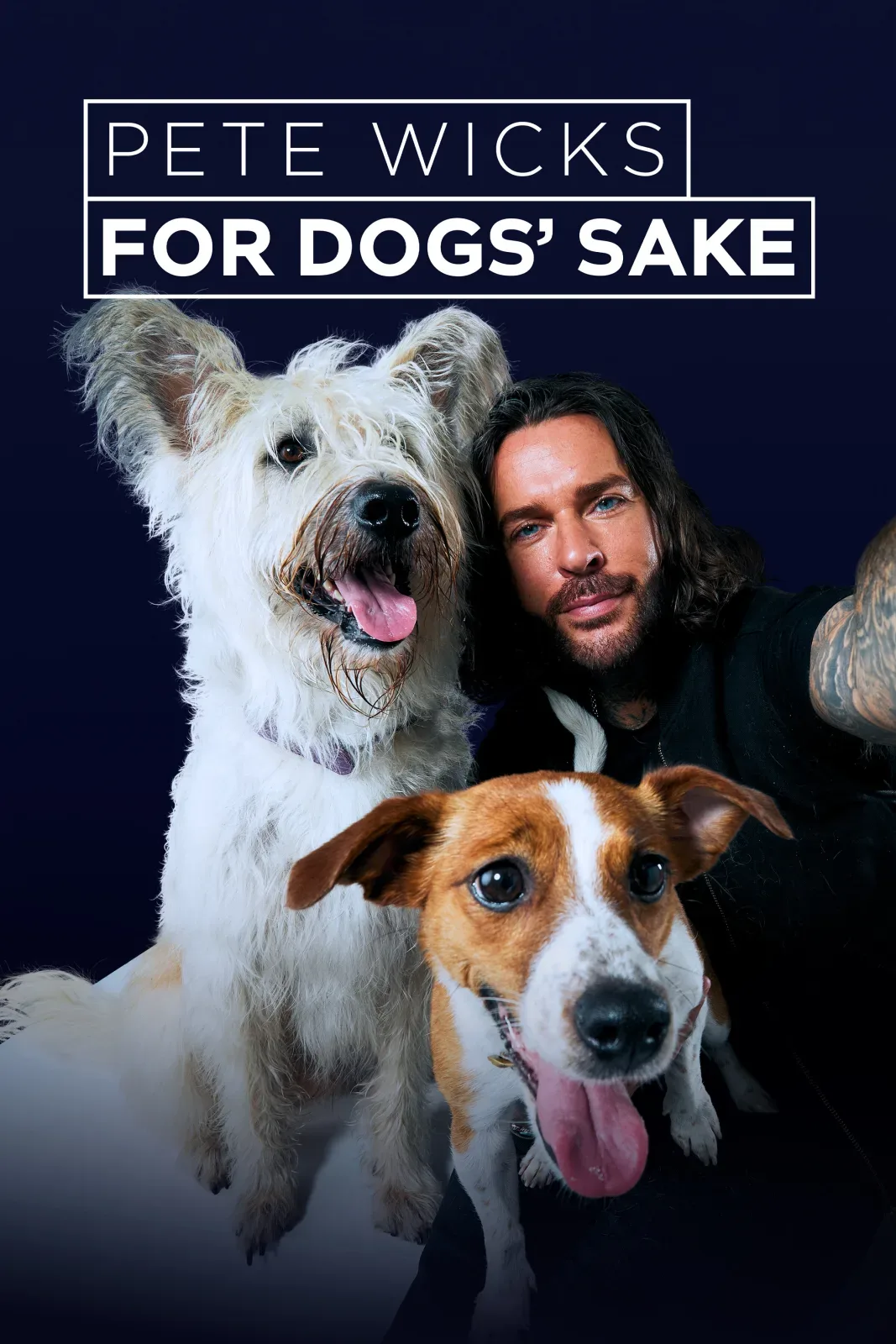 Pete Wicks: For Dogs' Sake artwork