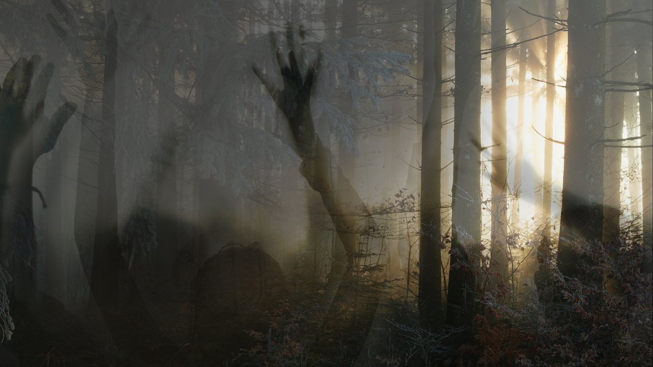 Paranormal Survivor artwork