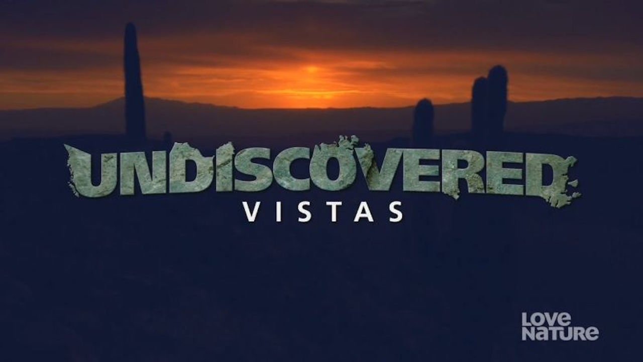 Undiscovered Vistas artwork