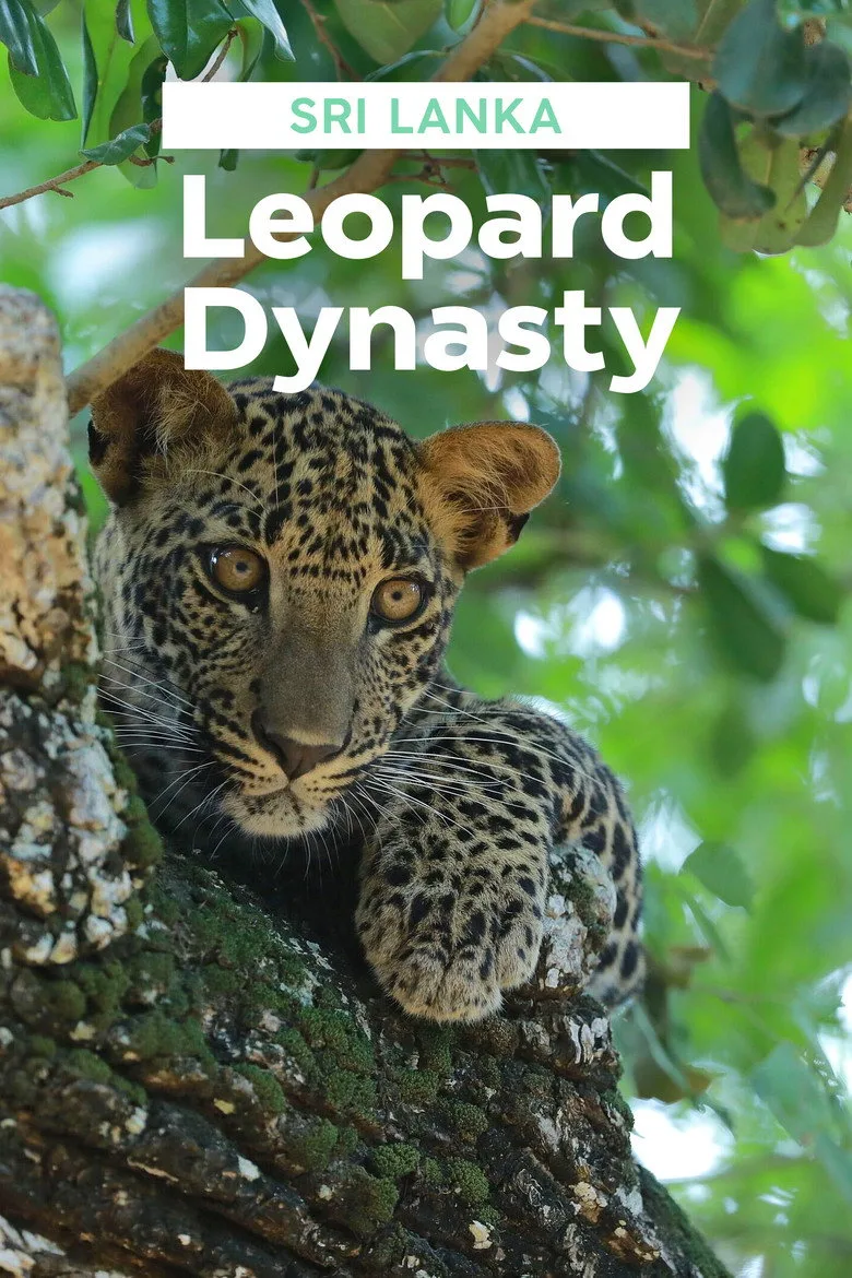 Sri Lanka: Leopard Dynasty artwork