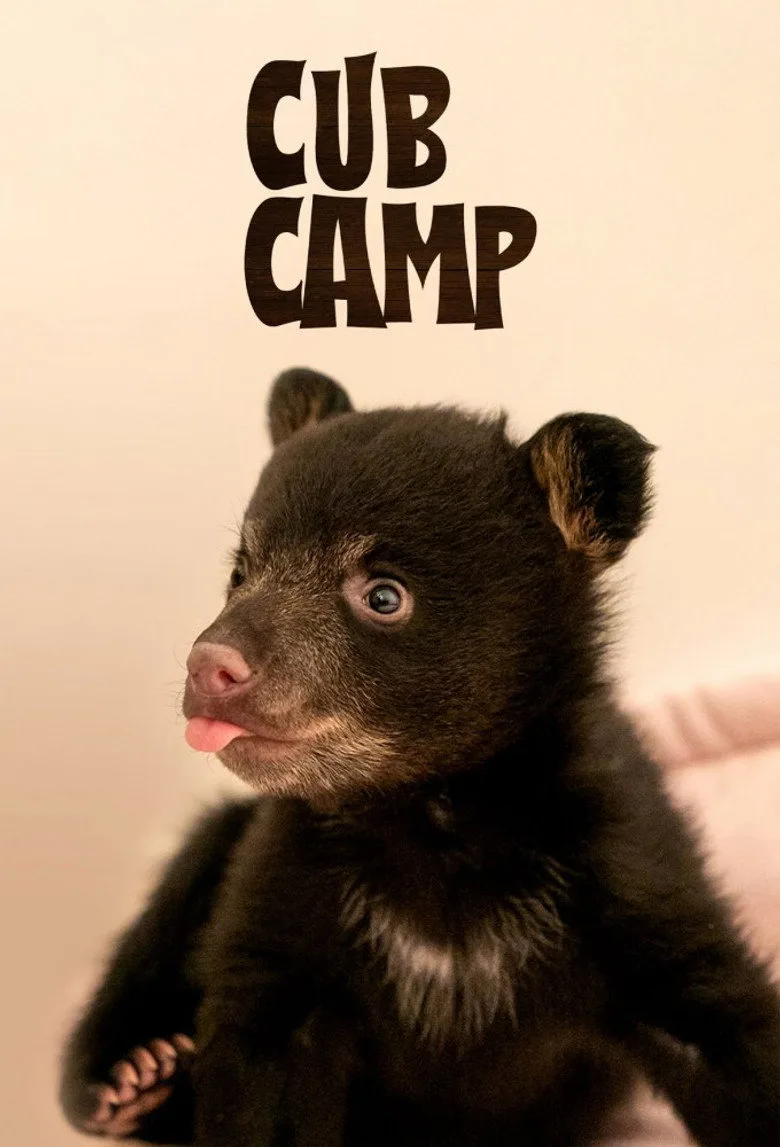 Cub Camp artwork