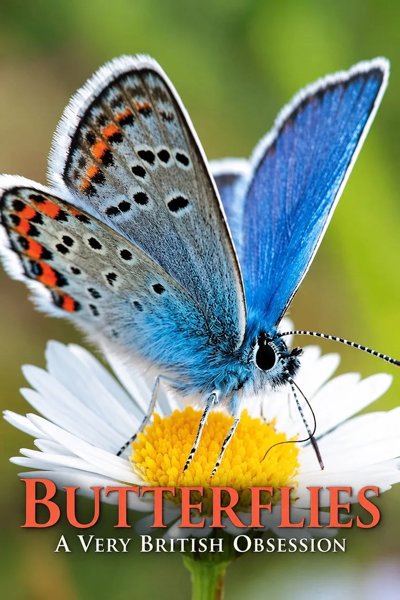 Butterflies: A Very British Obsession artwork