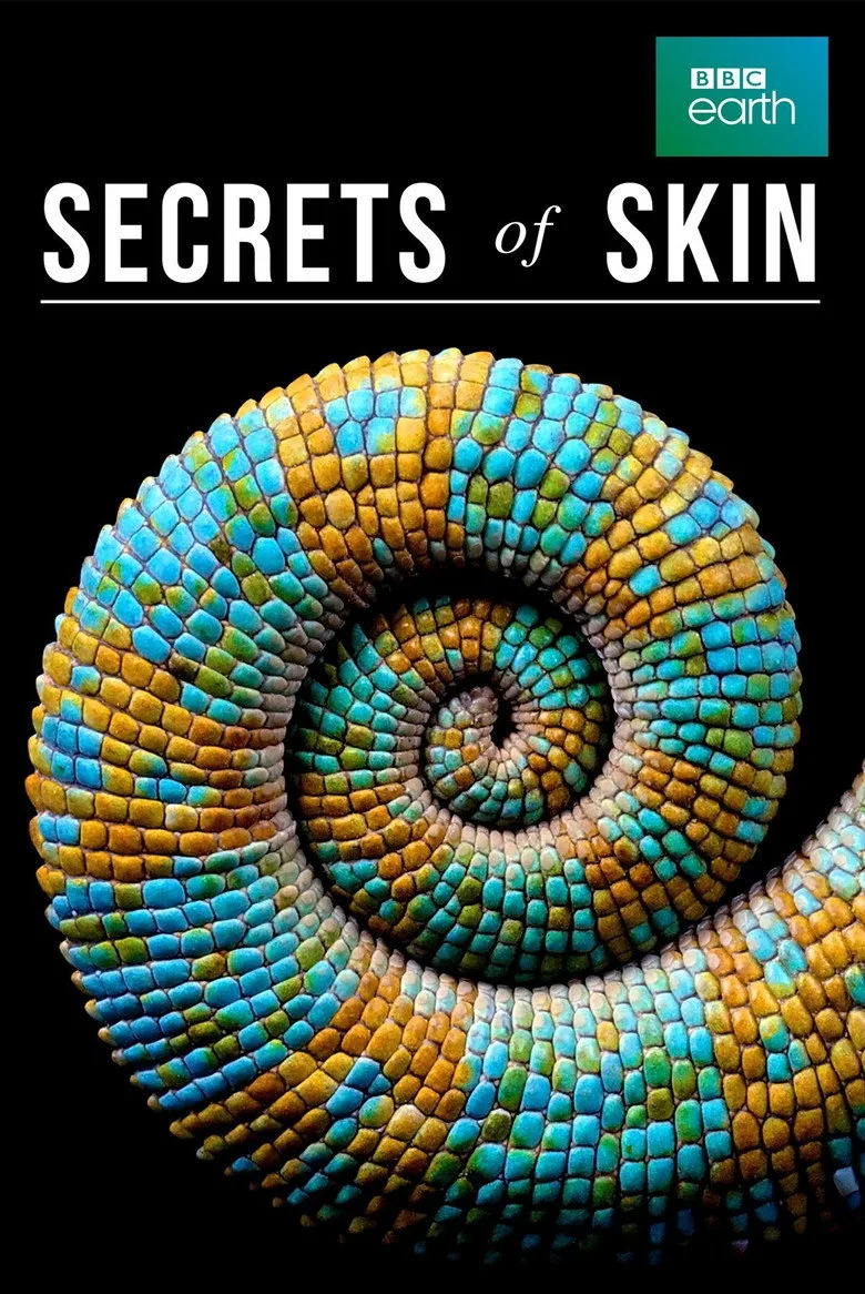 Secrets of Skin artwork