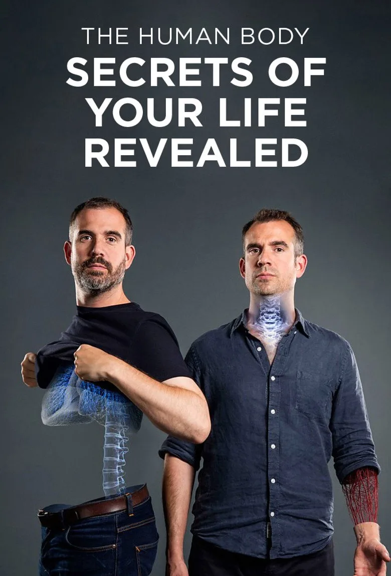 The Human Body: Secrets of Your Life Revealed artwork