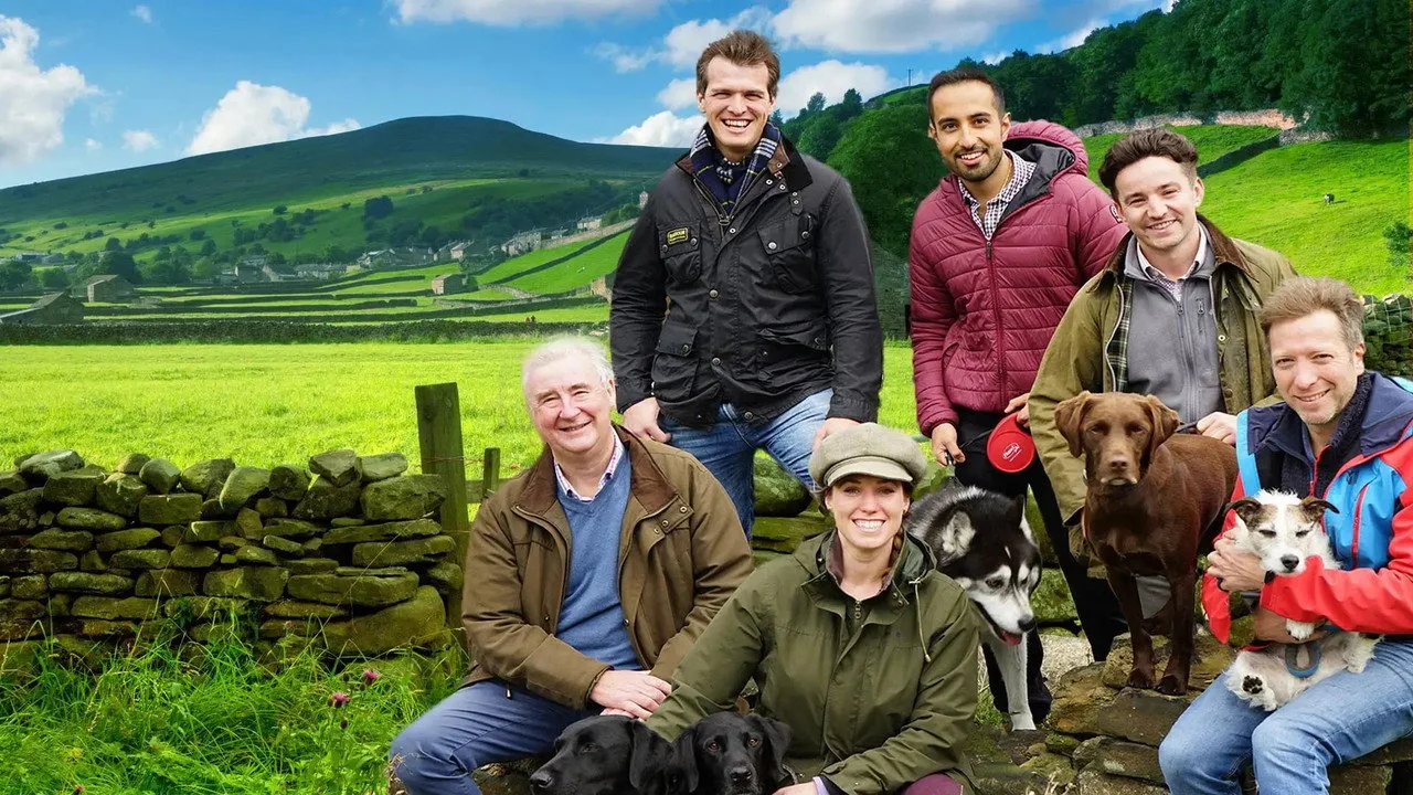 The Yorkshire Vet artwork