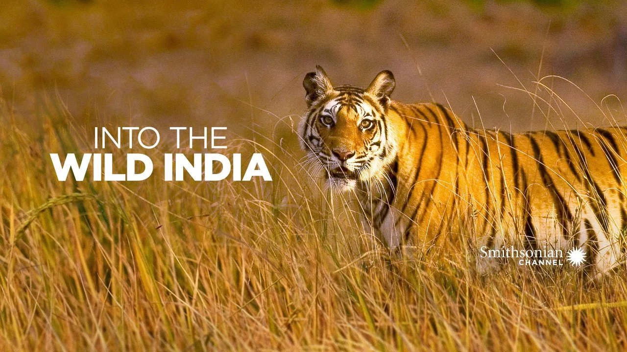 Into the Wild: India artwork